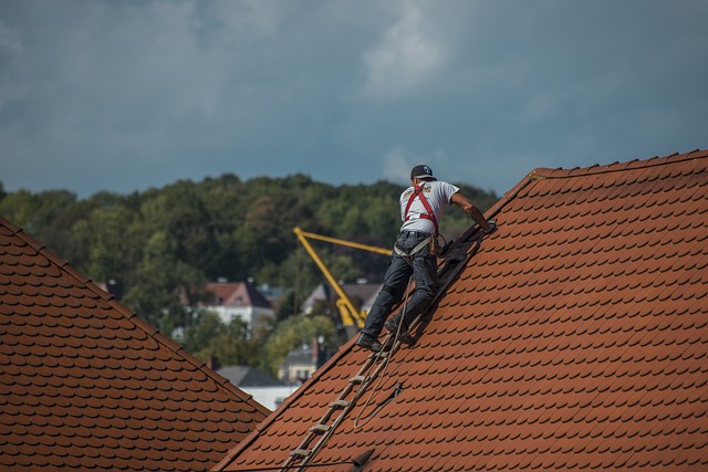 Roofing Service Professional